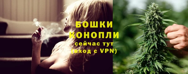 PSILOCYBIN Кулебаки