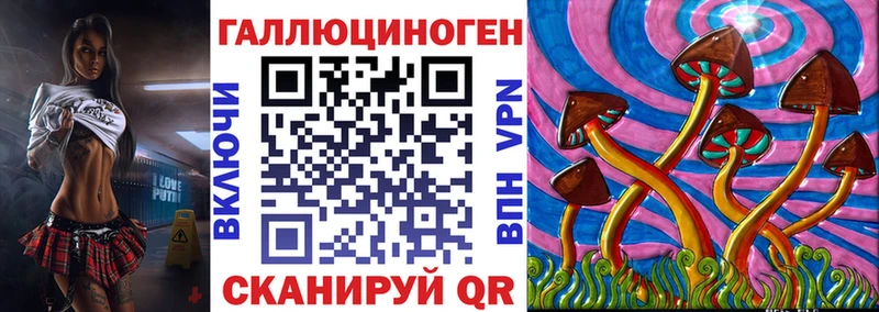 как найти закладки  Ногинск  Псилоцибиновые грибы Cubensis 